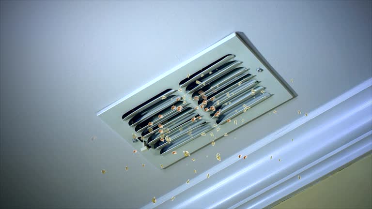 Best Ductwork Cleaning Services  in Perryopolis, PA